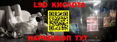 ECSTASY Новодвинск