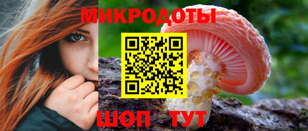 Тулун  Галлюциногенные грибы мухоморы  Вход с VPN 